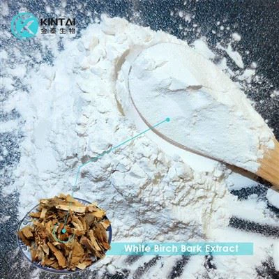 Ekstrakt kore bijele breze