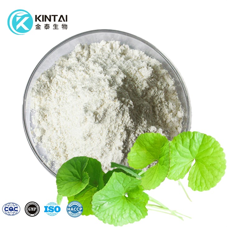 Ekstrakt Centella Asiatica Gotu Kola
