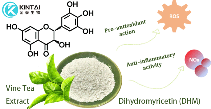 DHM for Oxidative Stress DHM for Oxidative Stress