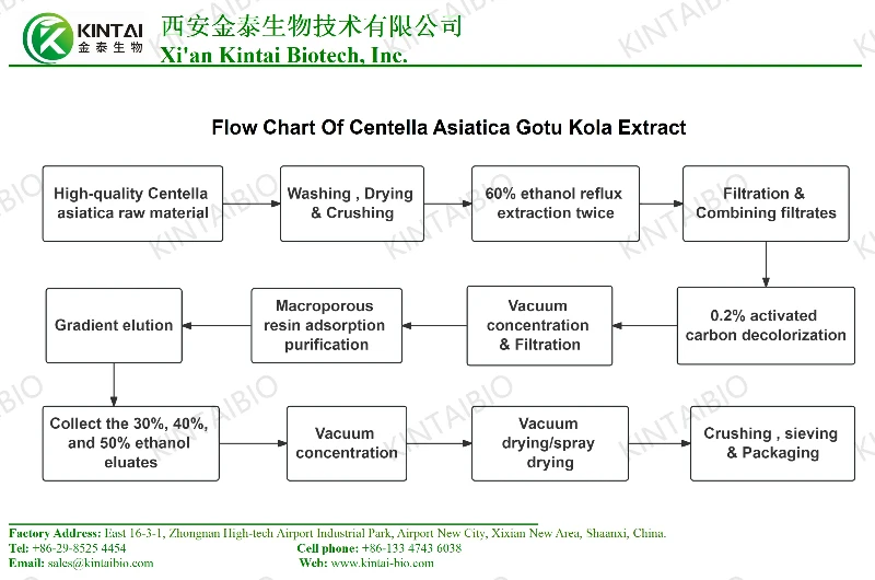 Flow Chart Of Centella Asiatica Gotu Kola Extract Flow Chart Of Centella Asiatica Gotu Kola Extract