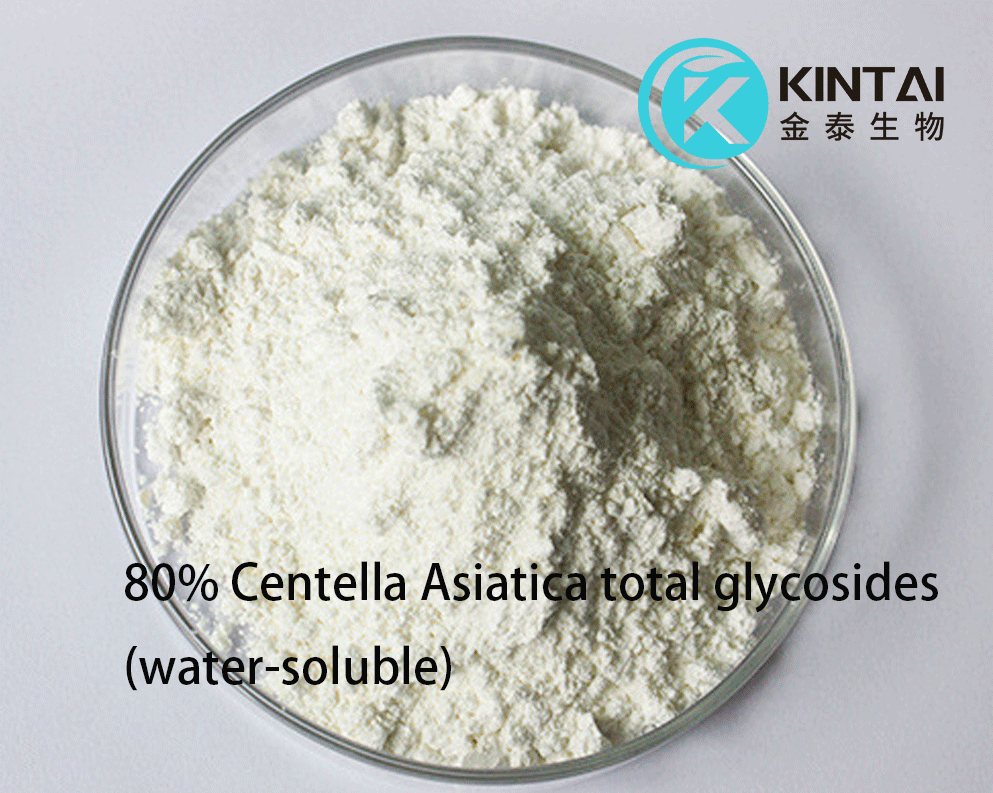 80% Centella Asiatica Total Glycosides 80% Centella Asiatica Total Glycosides